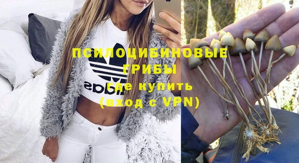 таблы Лиски