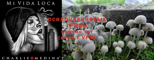 прущие крисы Липки