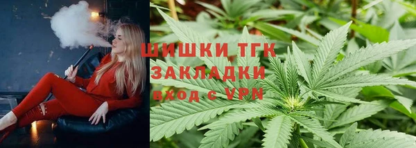 индика Лабытнанги
