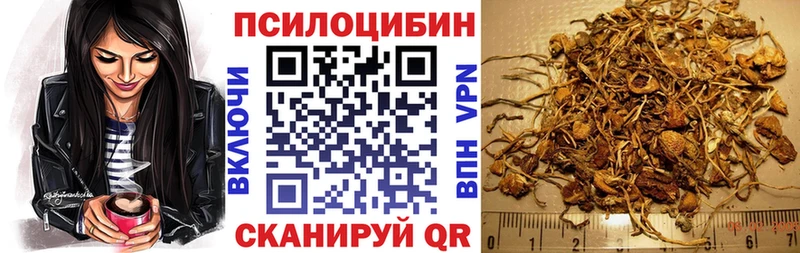 наркота  маркетплейс наркотические препараты  Псилоцибиновые грибы Magic Shrooms  Магнитогорск 